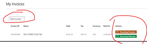 successfully paid invoices